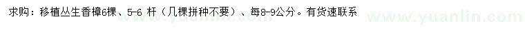 求購叢生香樟