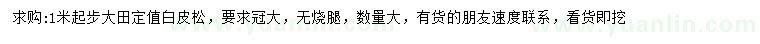 求購1米起步大田白皮松