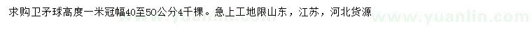 求購高1米衛(wèi)矛球