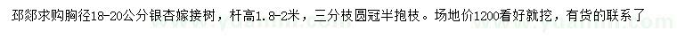求購(gòu)胸徑18-20公分銀杏