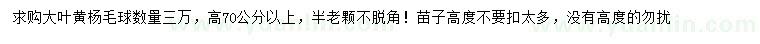 求購高70公分以上大葉黃楊毛球