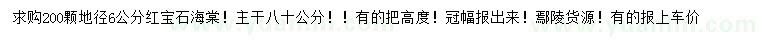 求購地徑6公分紅寶石海棠