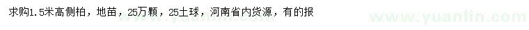 求購(gòu)高1.5米側(cè)柏
