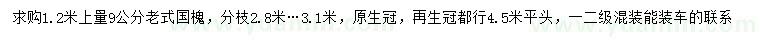 求購(gòu)1.2米上量9公分老式國(guó)槐