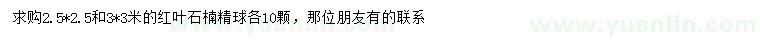 求購2.5*2.5、3*3米紅葉石楠精球