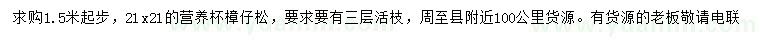 求購1.5米起步樟仔松