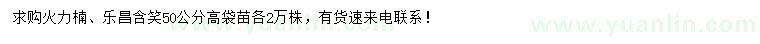 求購高50公分火力楠、樂昌含笑