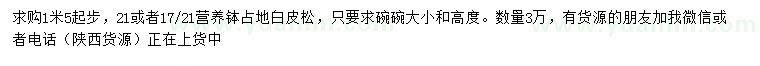 求購1.5米起步占地白皮松