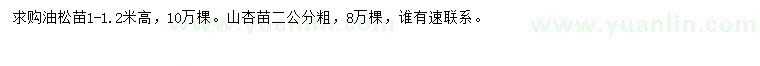 求購高1-1.2米油松苗、2公分山杏苗