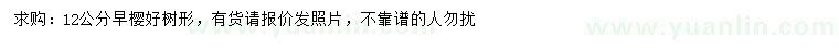 求購12公分早櫻