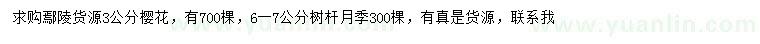 求購(gòu)3公分櫻花、6-7公分樹(shù)桿月季