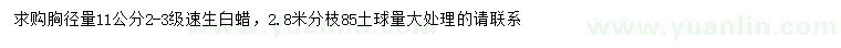 求購胸徑11公分速生白蠟