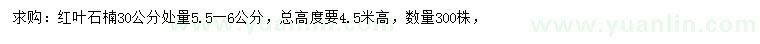 求購30公分處量5.5-6公分紅葉石楠