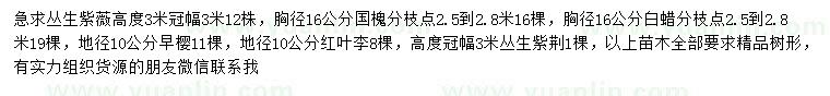求購(gòu)叢生紫薇、國(guó)槐、白蠟等