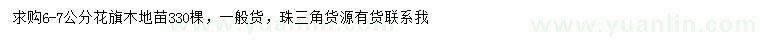 求購6-7公分花旗木