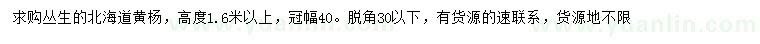 求購(gòu)高1.6米以上叢生北海道黃楊