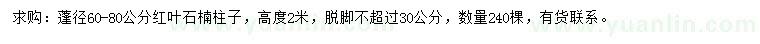 求購蓬徑60-80公分紅葉石楠