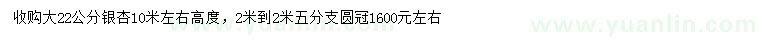求購22公分銀杏