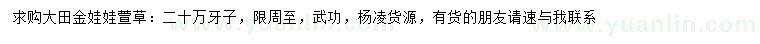 求購大田金娃娃萱草