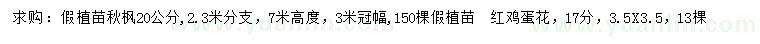 求購20公分秋楓、17公分紅雞蛋花