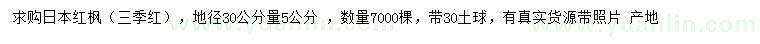 求購地徑30公分量5公分日本紅楓（三季紅）