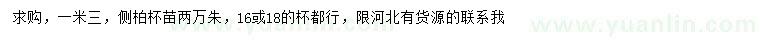 求購1.3米側(cè)柏