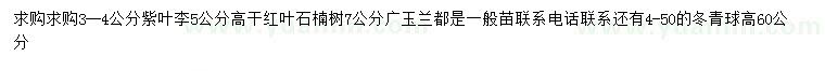 求購紫葉李、高桿紅葉石楠、廣玉蘭等