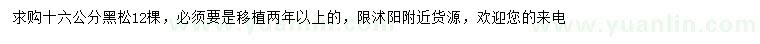 求購16公分黑松