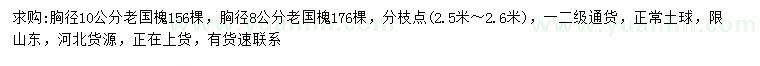 求購胸徑8、10公分老國槐