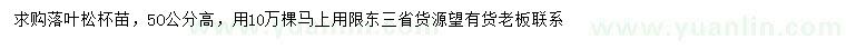 求購高50公分落葉松
