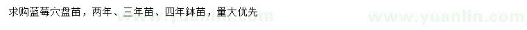 求購兩、三、四年藍莓苗