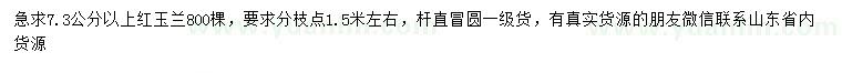 求購(gòu)7.3公分以上紅玉蘭