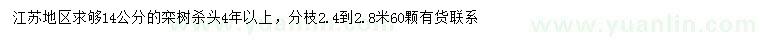 求購(gòu)14公分欒樹(shù)