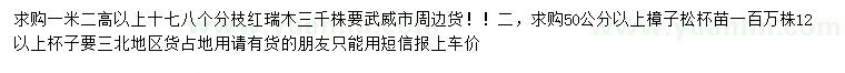 求購高1.2米以上紅瑞木、50公分以上樟子松