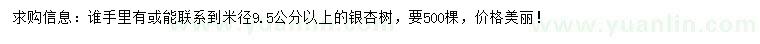求購米徑9.5公分以上銀杏