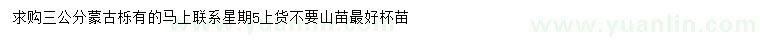 求購3公分蒙古櫟