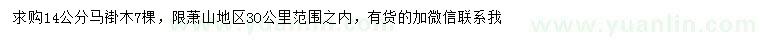 求購14公分馬褂木