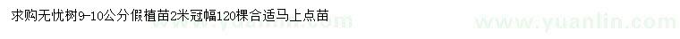 求購9-10公分無憂樹假植苗