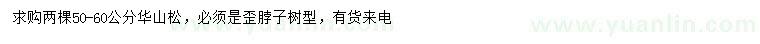 求購50-60公分華山松