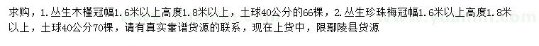 求購高1.8米以上叢生木槿、叢生珍珠梅