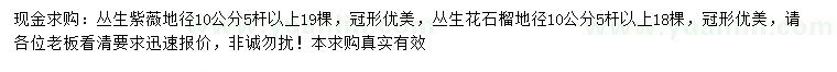 求購地徑10公分叢生紫薇、叢生花石榴