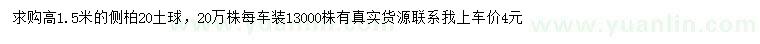 求購高1.5米側柏