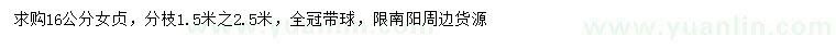 求購16公分女貞