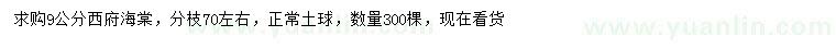 求購9公分西府海棠