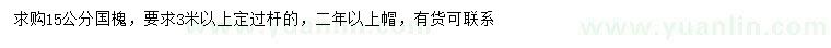 求購15公分國槐