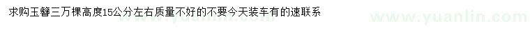 求購高15公分左右玉簪