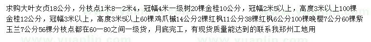 求購(gòu)大葉女貞、金桂、雞爪槭等
