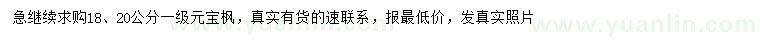求購18、20公分元寶楓