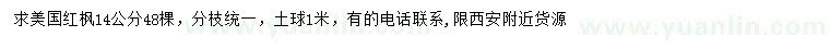 求購14公分美國(guó)紅楓