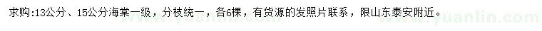 求購13、15公分海棠
